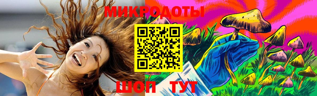 Галлюциногенные грибы Psilocybe  Вход с VPN  Великий Устюг 